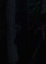 twd1006_1824.jpg