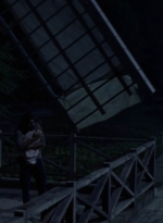 twd1006_2048.jpg