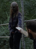 twd1007_1195.jpg