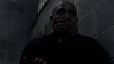 twd1008_1533.jpg