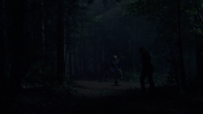 twd1008_1775.jpg