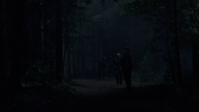 twd1008_1776.jpg
