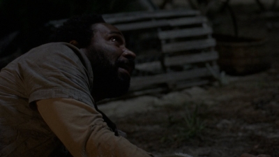 twd1008_1878.jpg