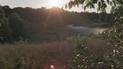 twd1008_2223.jpg