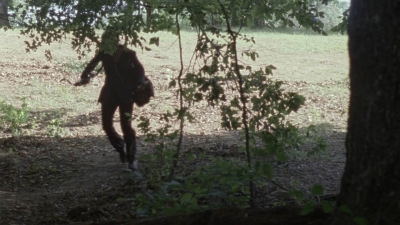twd1008_2402.jpg