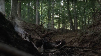 twd1008_2424.jpg