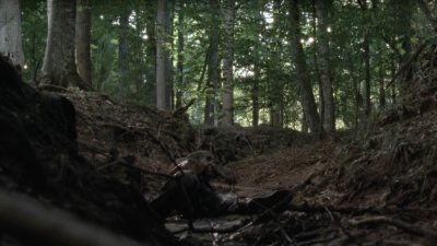 twd1008_2425.jpg