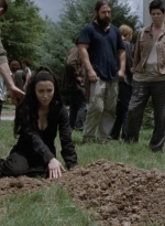twd1008_0891.jpg