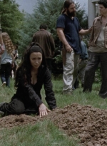 twd1008_0893.jpg