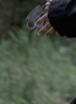 twd1008_0990.jpg