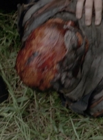 twd1008_1010.jpg