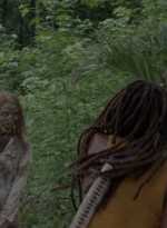 twd1008_1381.jpg
