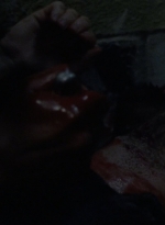 twd1008_1513.jpg