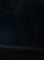 twd1008_1645.jpg