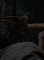 twd1008_2069.jpg