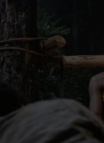 twd1008_2071.jpg