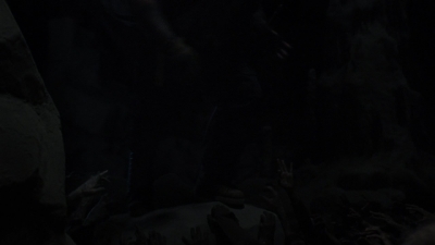twd1009_0188.jpg