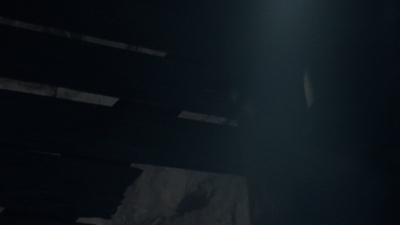 twd1009_1529.jpg