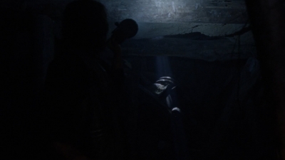 twd1009_1584.jpg