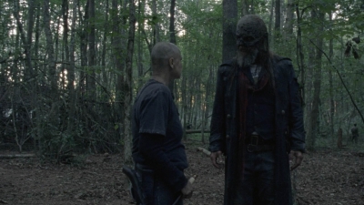 twd1009_1611.jpg