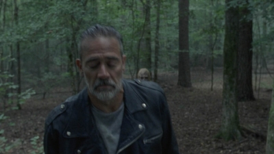 twd1009_1800.jpg