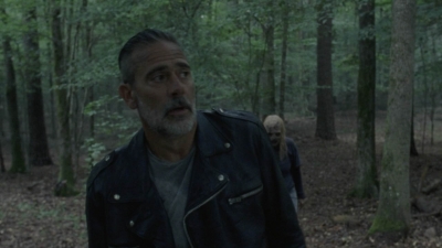 twd1009_1804.jpg