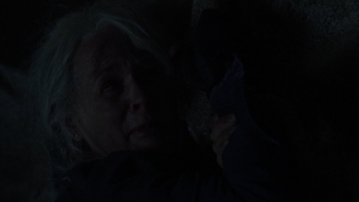 twd1009_2229.jpg