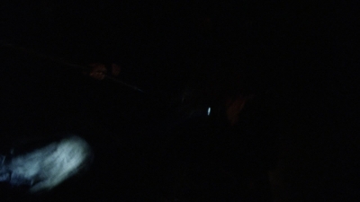 twd1009_2347.jpg