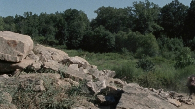 twd1009_2362.jpg
