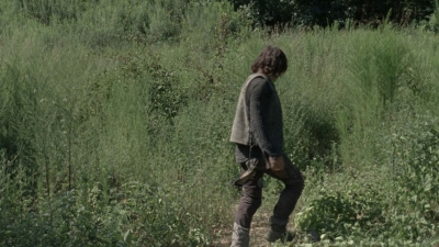 twd1009_2488.jpg