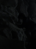 twd1009_0192.jpg
