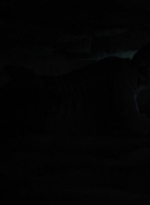 twd1009_1175.jpg