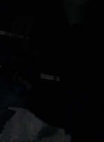 twd1009_1528.jpg