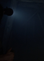 twd1009_1552.jpg