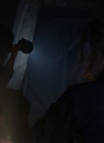 twd1009_1556.jpg