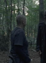 twd1009_1603.jpg