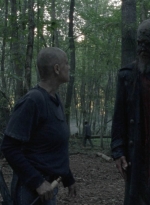 twd1009_1604.jpg