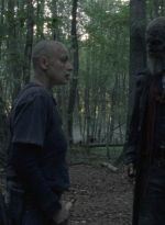 twd1009_1608.jpg