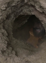 twd1009_2067.jpg