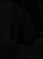 twd1009_2068.jpg