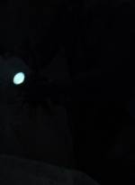 twd1009_2071.jpg