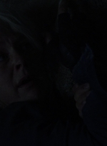 twd1009_2223.jpg