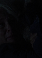 twd1009_2229.jpg