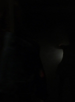 twd1009_2269.jpg