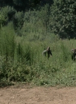 twd1009_2279.jpg
