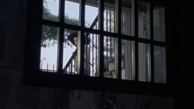 twd1010_1112.jpg