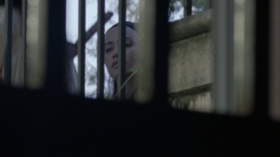 twd1010_1117.jpg