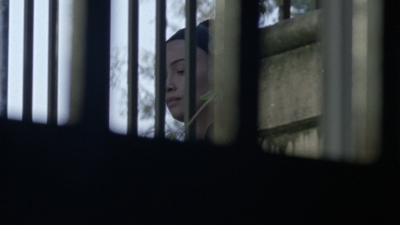 twd1010_1118.jpg