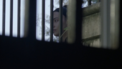 twd1010_1119.jpg