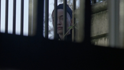 twd1010_1122.jpg